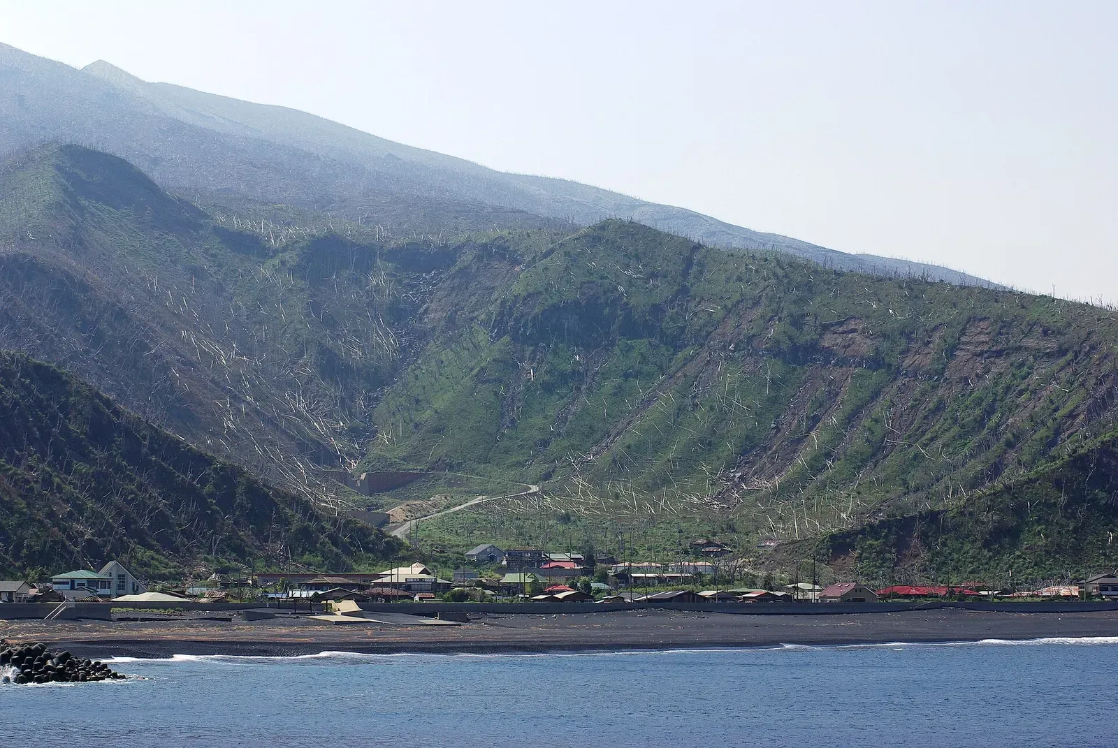 Green volcanic slopes covered in standing dead grey tree trunks rise behind a row of houses and a dark sand beach at the sea edge — Miyakejima