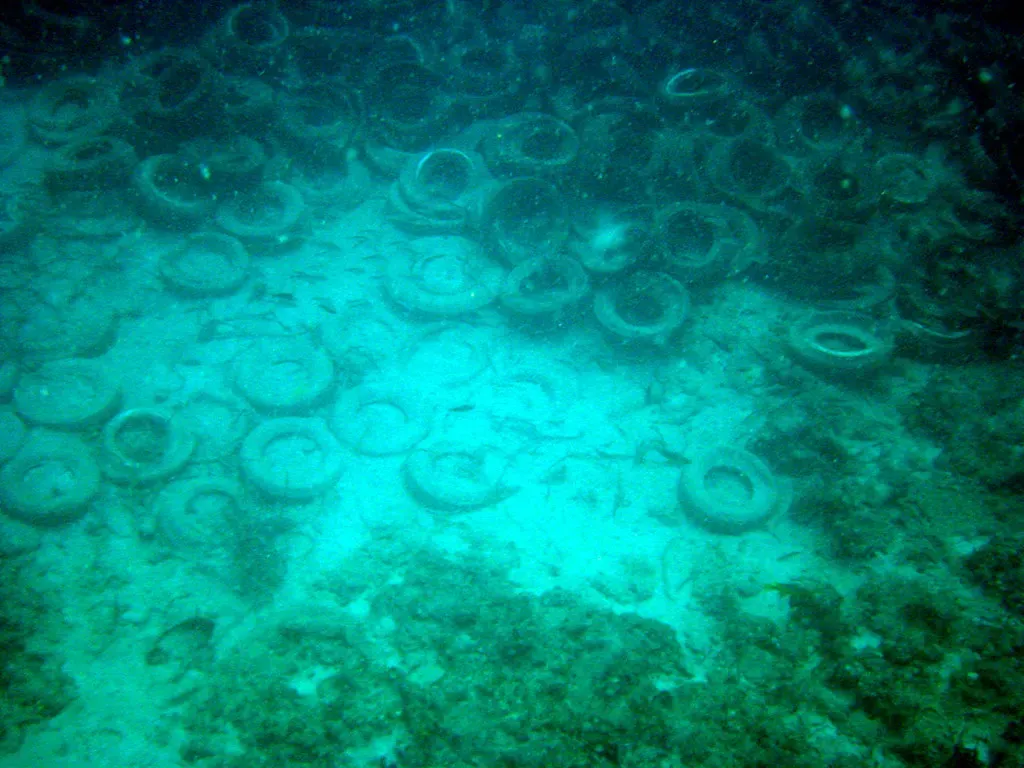 Hundreds of old car tyres scattered across a sandy seabed in blue-green water, some stacked in loose piles — Fort Lauderdale