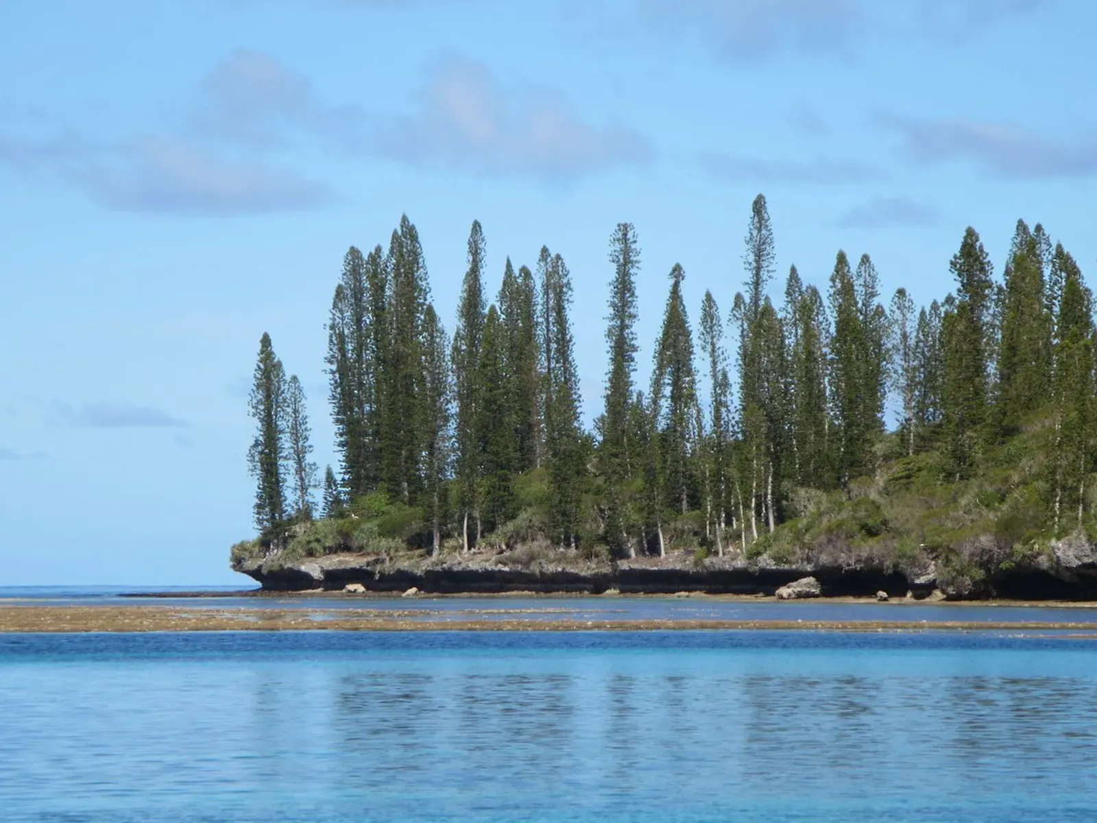 A small rocky islet crowded with tall, narrow columnar pine trees, rising from calm blue water under a pale sky — Isle of Pines