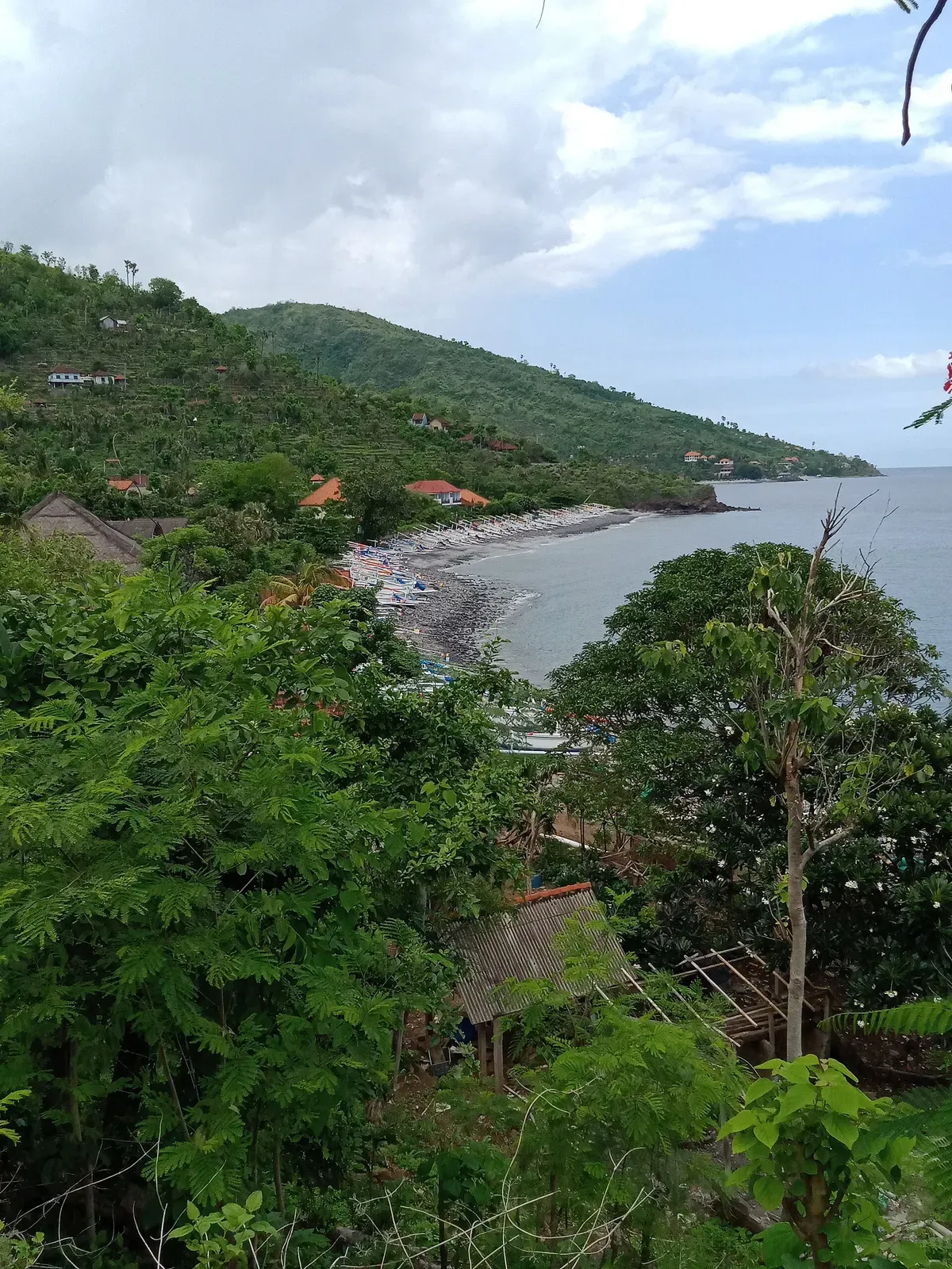 View down a green hillside to a curving bay with a dark beach and a village on the shore — Bunutan, Amed.