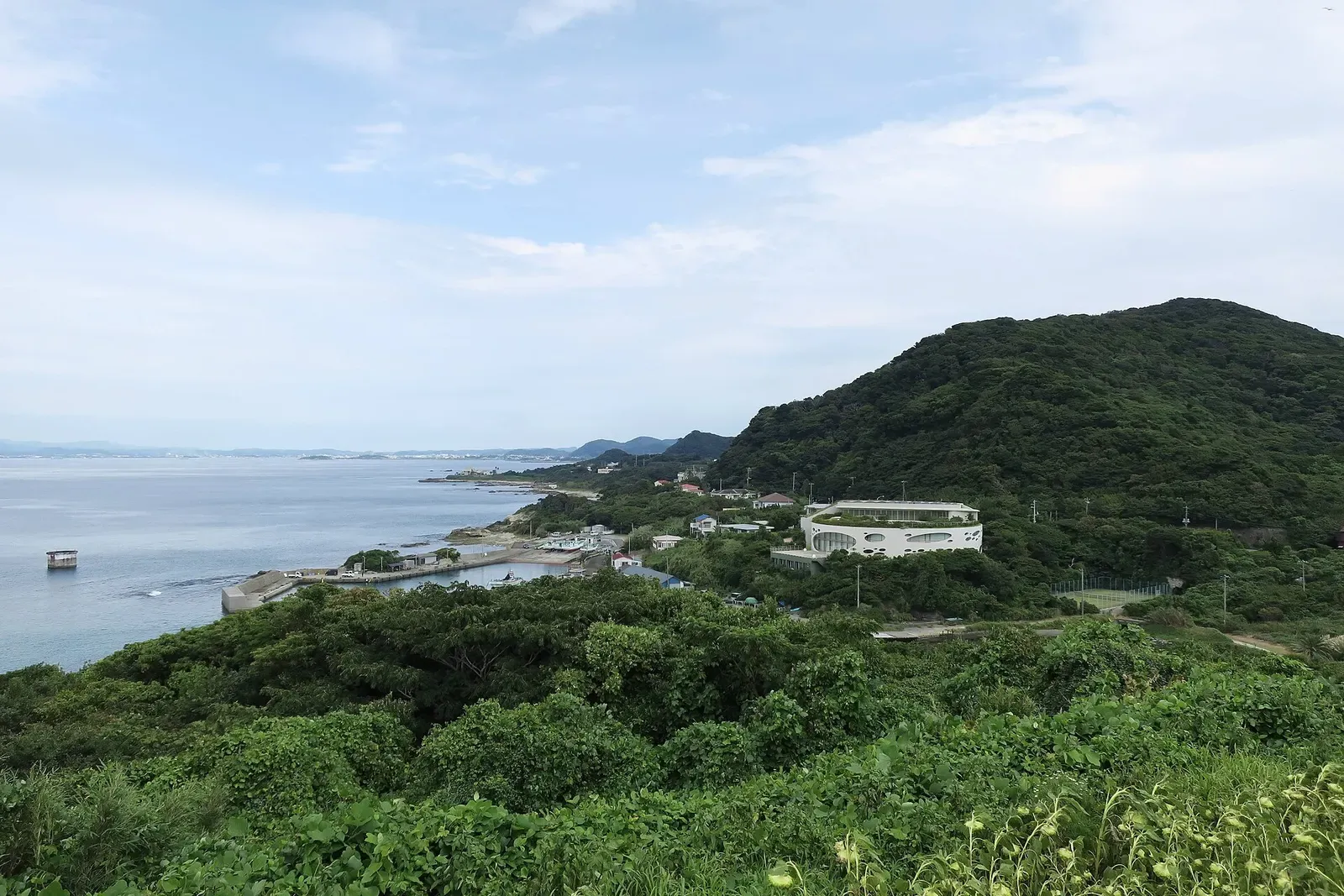 A small harbour breakwater below forested green hills on a rocky shoreline, with calm grey-blue sea and a distant coast — Tateyama