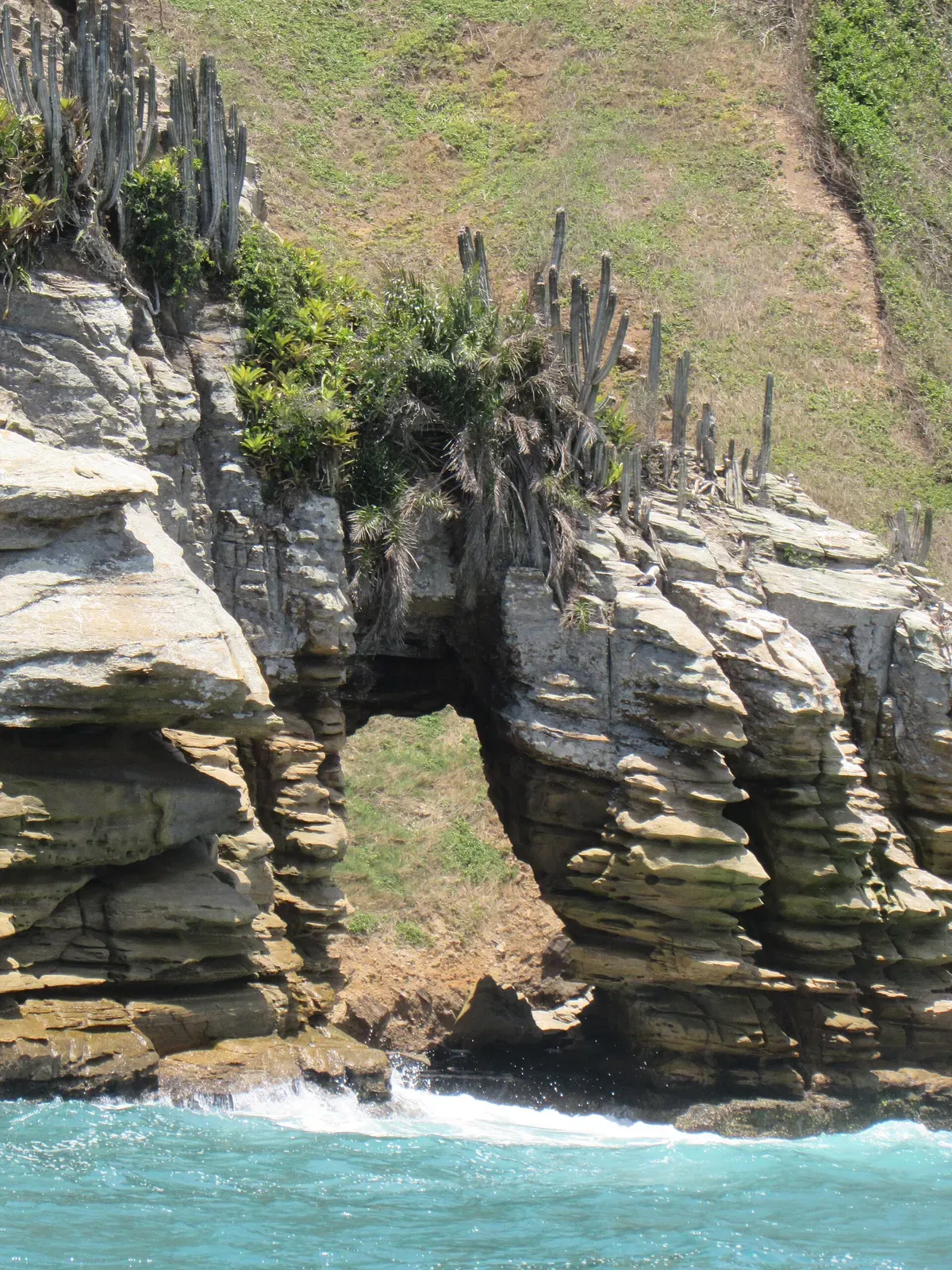 Layered sandstone cliff with a natural arch, topped by cacti and grass above the sea — Ilha Feia, Búzios