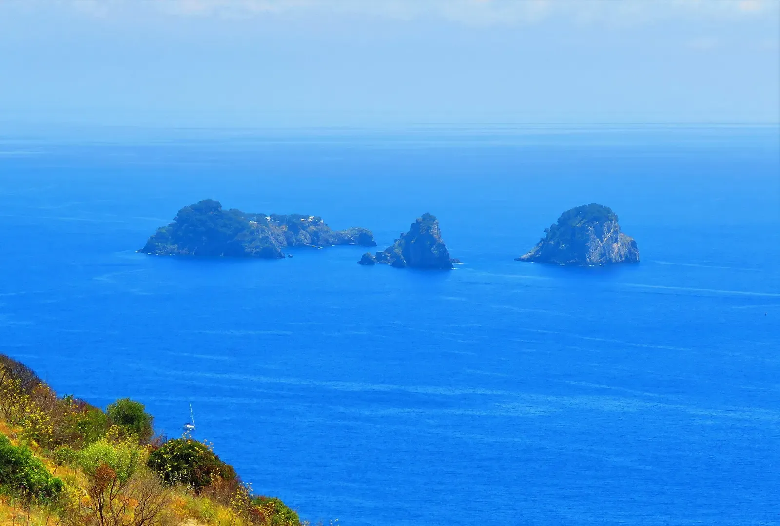 Three rocky islets with green scrub on top rise from a deep blue sea, seen from a hillside with yellow flowers — Li Galli, Punta Campanella & the Sorrento Coast