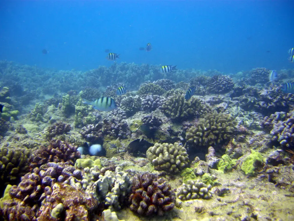Oʻahu, the area around Spitting Cave