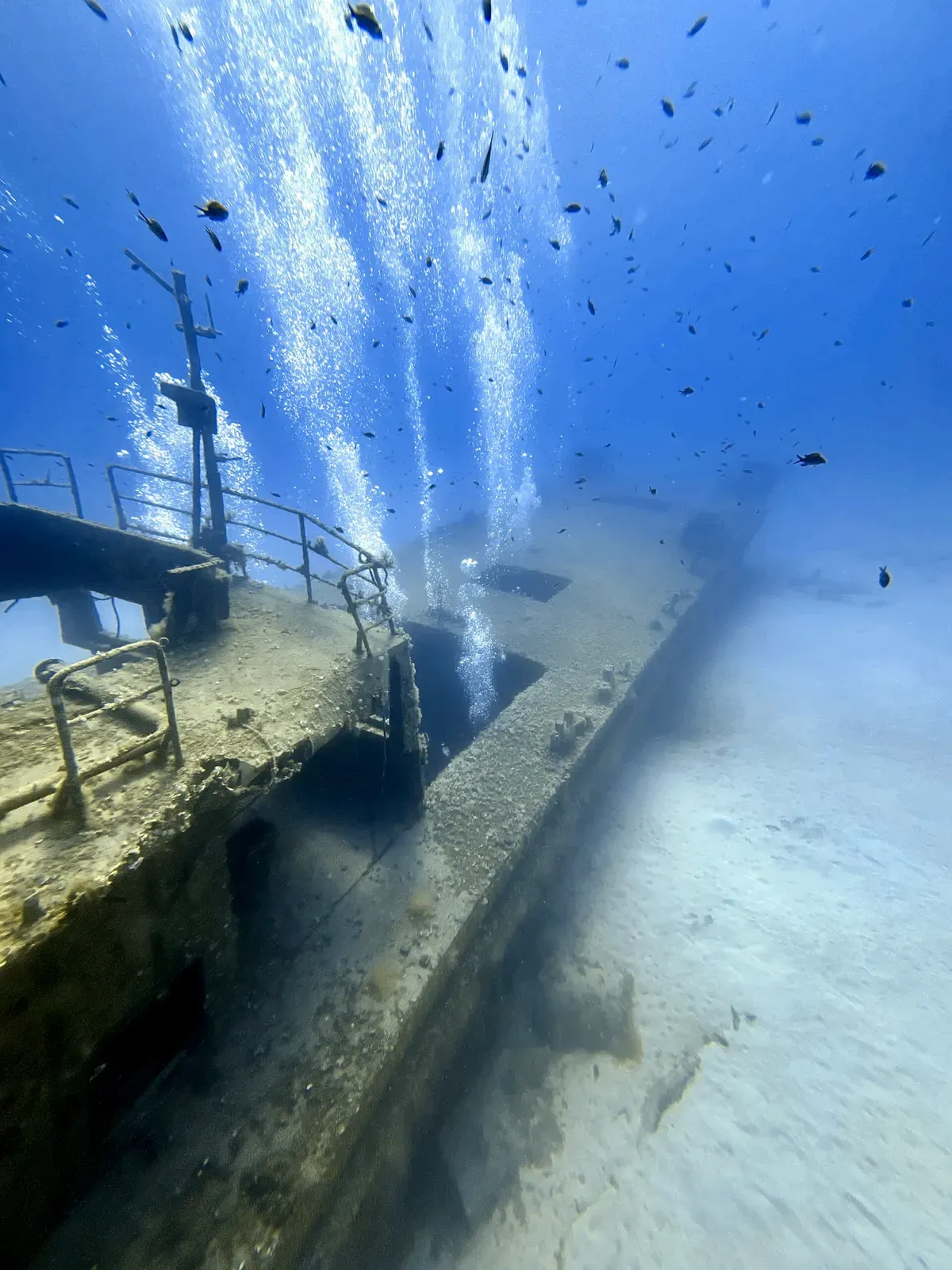 Divers' bubbles rise past the railings and mast of a wreck lying on white sand, with a school of small dark fish above — P31, Gozo & Malta.