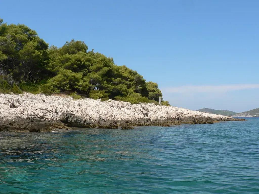 A low pine-covered islet with a pale limestone shore above clear turquoise water under a blue sky — Hvar & the Pakleni Islands