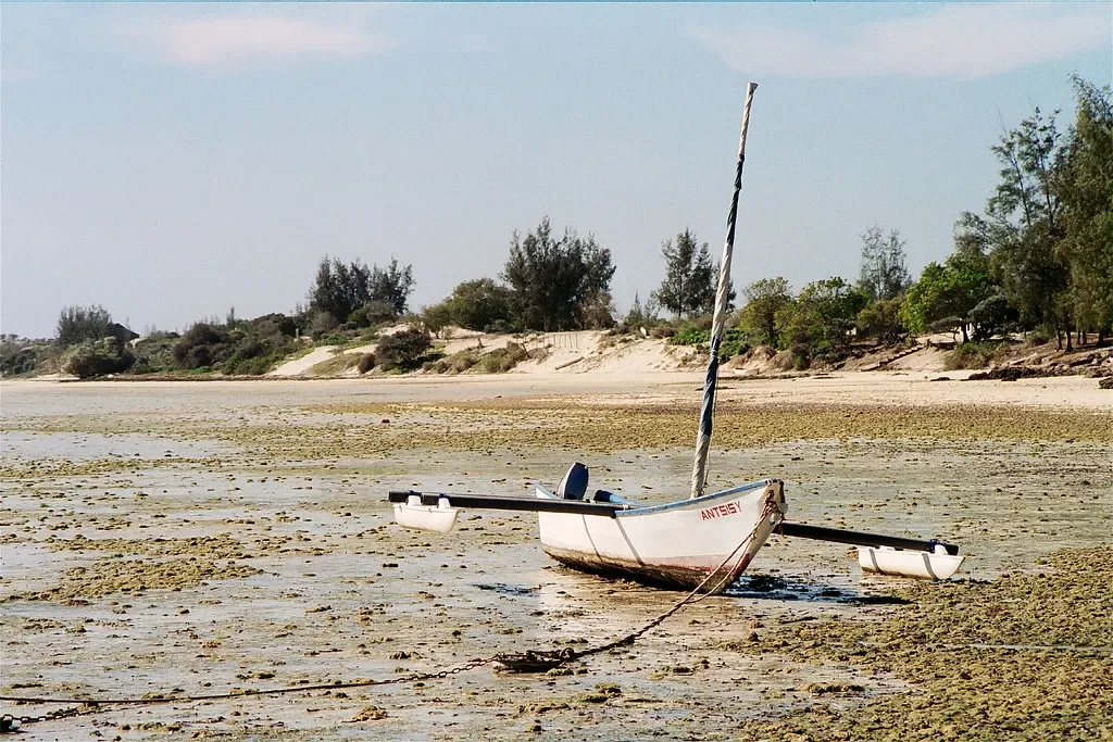 A white double-outrigger boat with a mast and outboard motor rests on exposed tidal flats below a sandy, wooded shore — Ifaty & Mangily