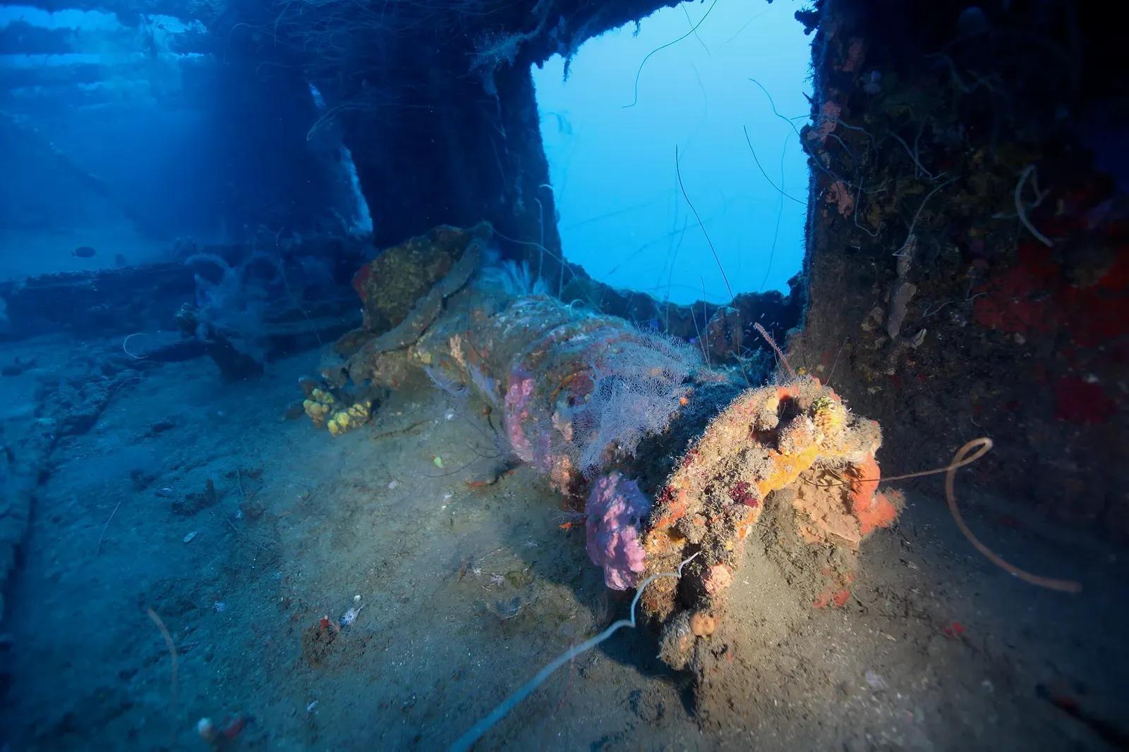 Inside a wreck: an opening in the hull frames blue water above encrusted machinery covered in orange and pink growth — Roraima wreck, Martinique