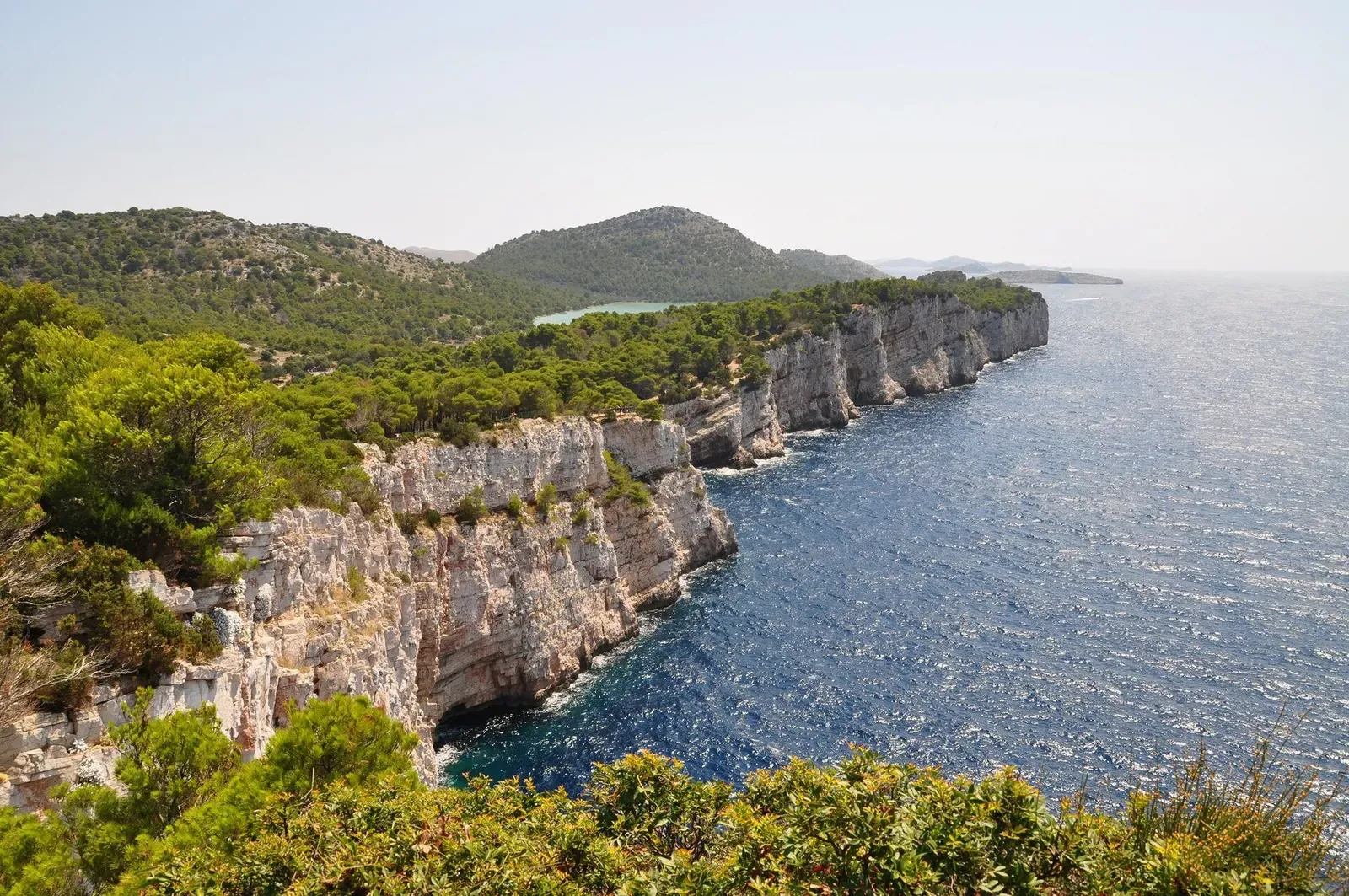 Pale limestone cliffs topped with green pine scrub drop straight into a calm blue sea, with low hills behind — Zadar & Dugi Otok