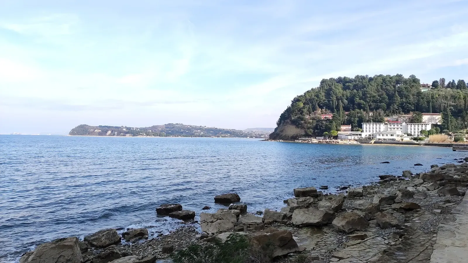 Calm sea over a rocky shoreline, with a low wooded headland and white buildings across the bay — Piran & Portorož