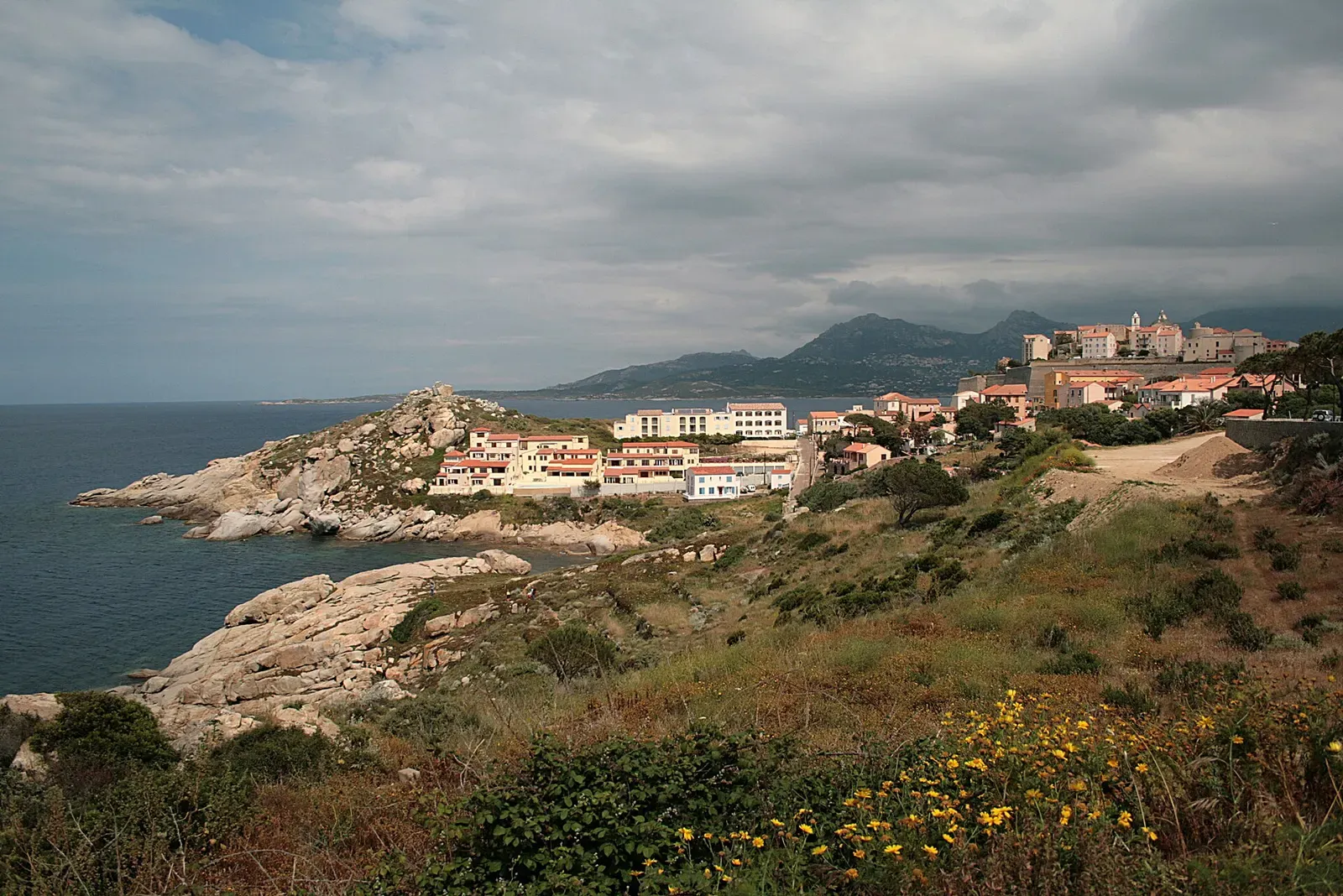 View over Calvi's citadel headland and rooftops from the grassy Punta San Francesco point