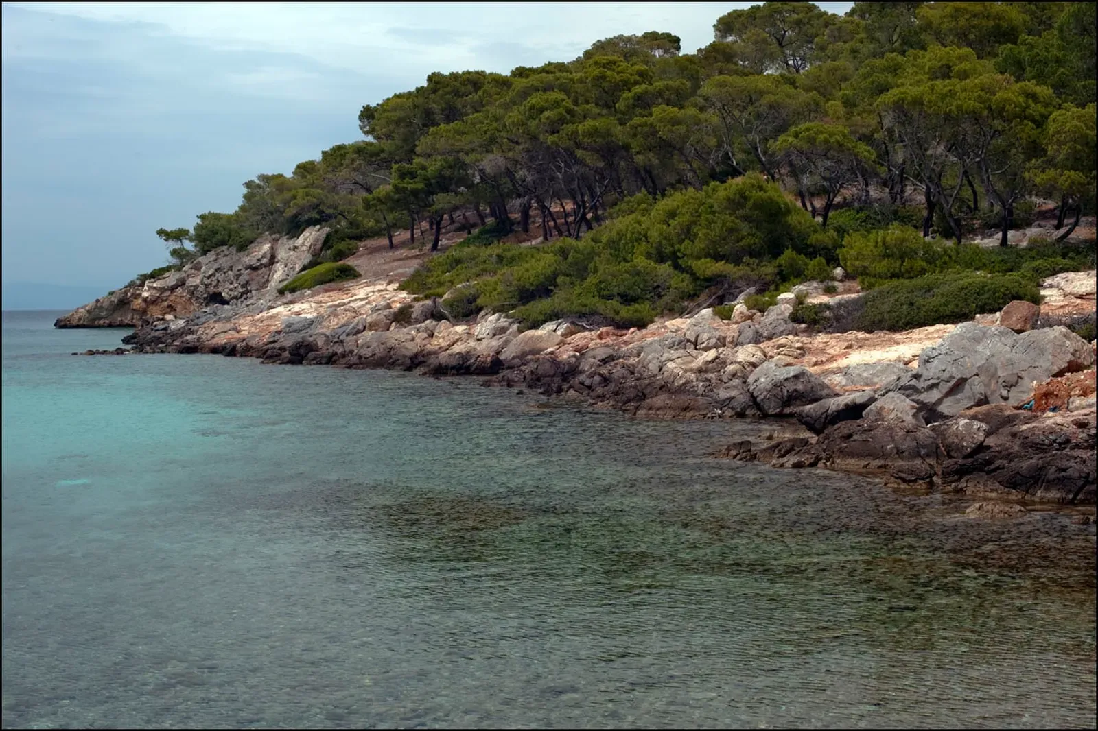 A low rocky shoreline backed by pine trees, with clear green water over a rocky bottom in the foreground — Agistri & Poros