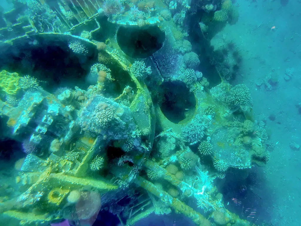 Close-up of coral-encrusted tank turret and wheel hub covered in soft and hard coral growth — The Tank, Aqaba