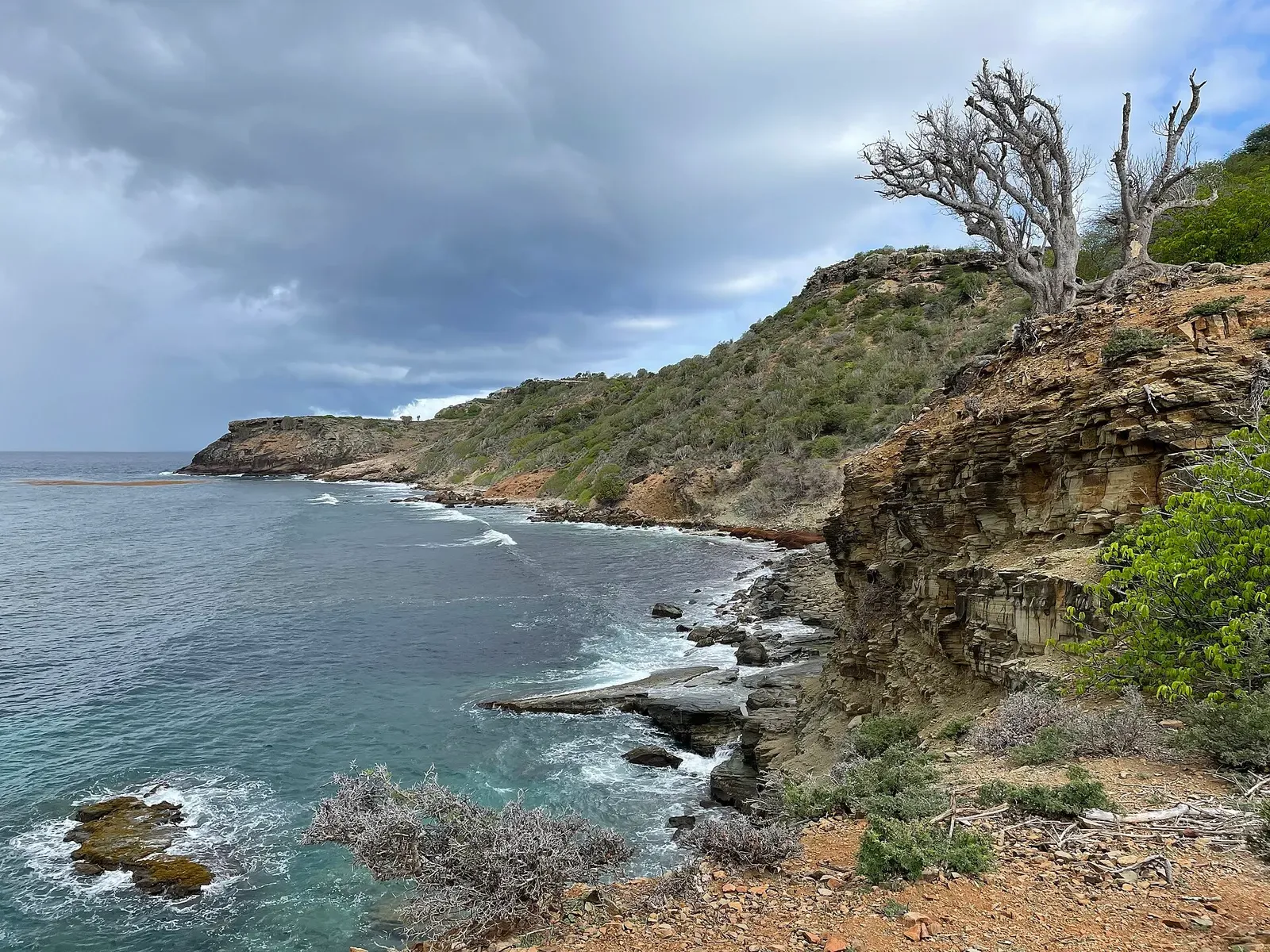 Layered rock cliffs and a bare tree above a rocky shoreline, with waves breaking along a green headland under grey clouds — Antigua