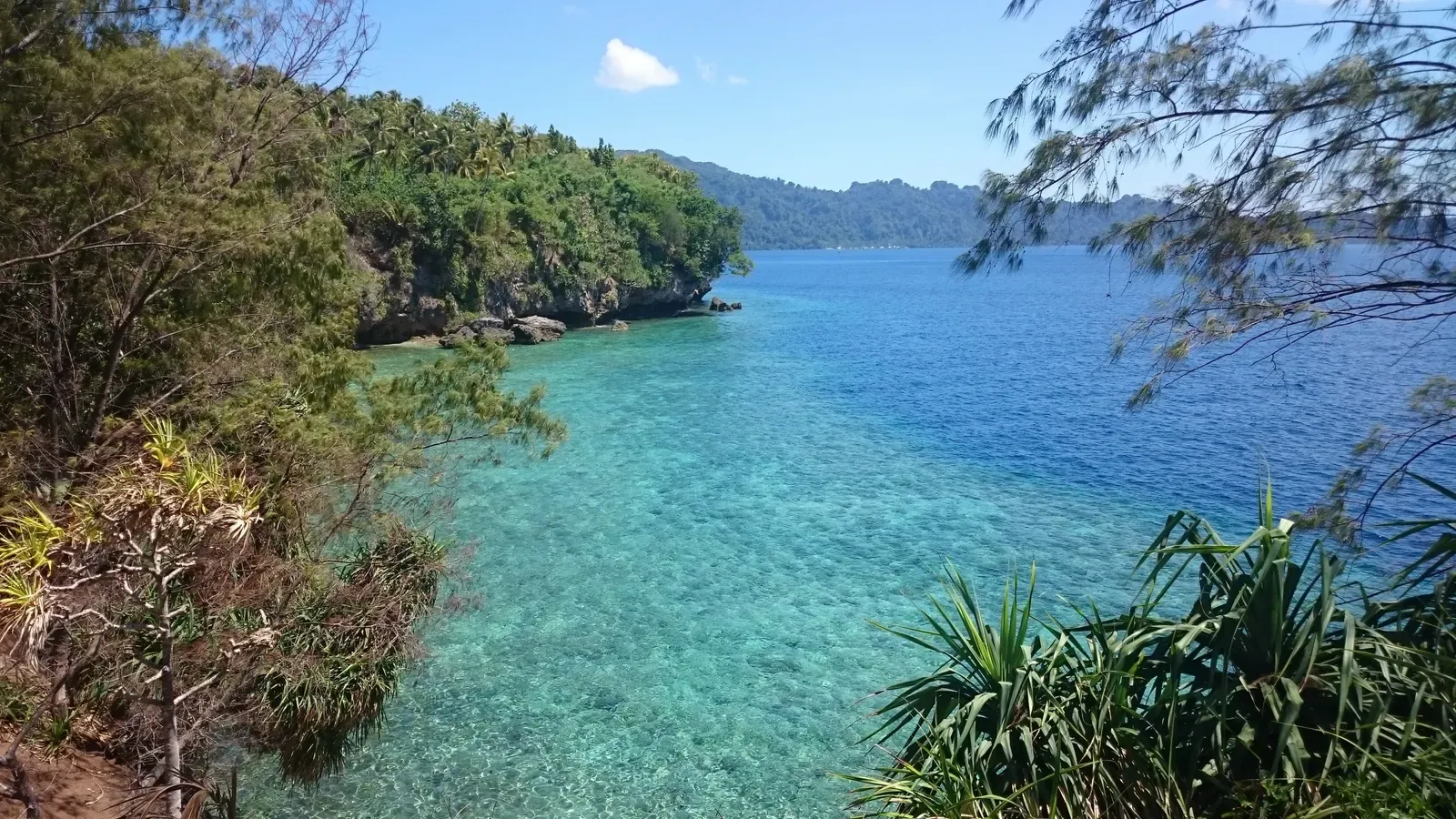 A sheltered bay of clear turquoise water framed by jungle-covered cliffs at Pulau Pisang — Banda Islands