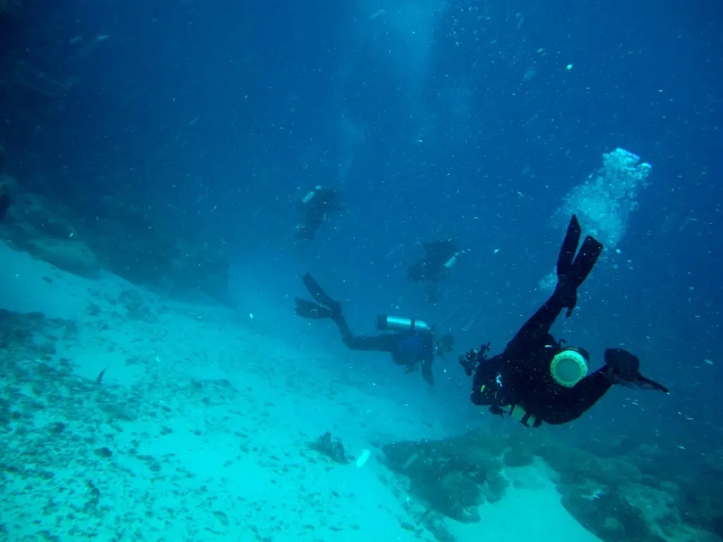 Five divers carried head-down over a pale sandy channel floor with coral heads at the edge — Ulong Channel, Palau.