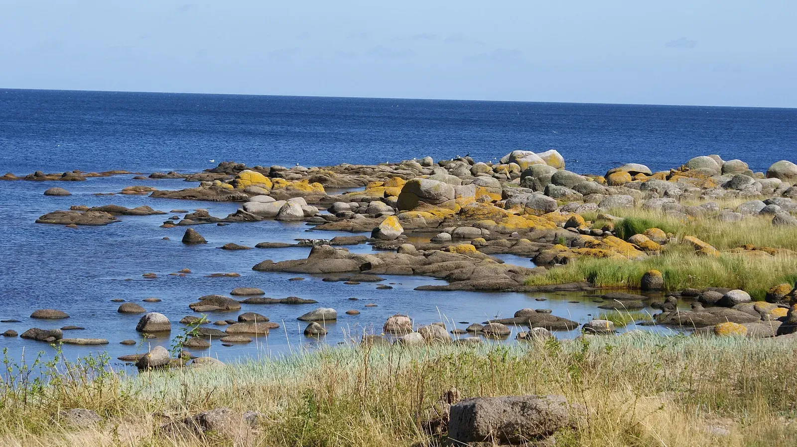Ochre moss-covered granite boulders along the shoreline near Svaneke — Bornholm