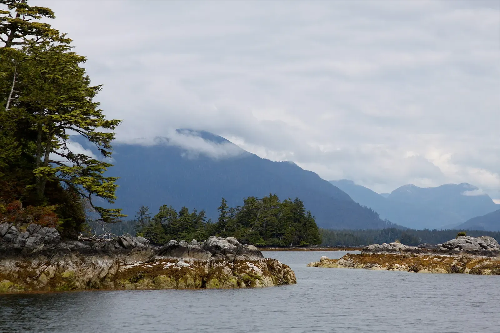 Low rocky islets topped with conifers in calm grey water, with cloud-capped mountains behind — Barkley Sound
