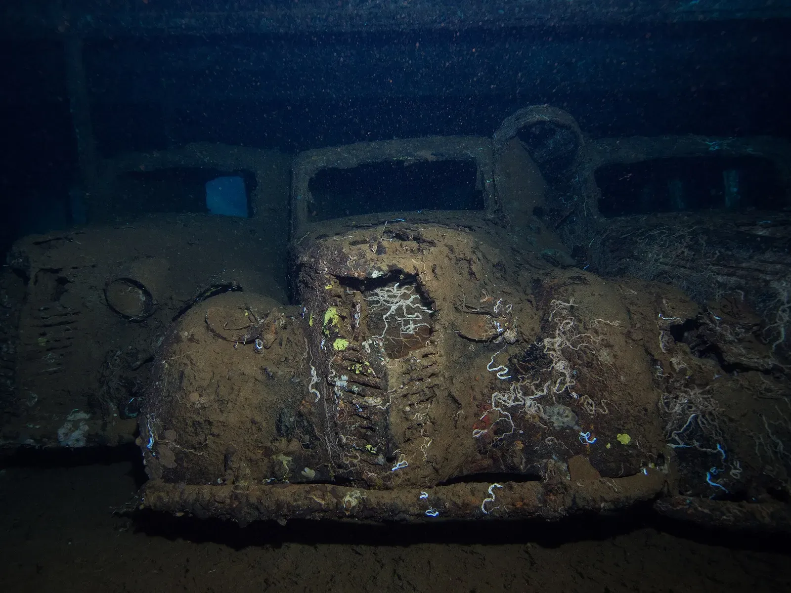 Three rusting vintage Fiat cars parked side by side inside a flooded ship cargo hold — Sudanese Red Sea