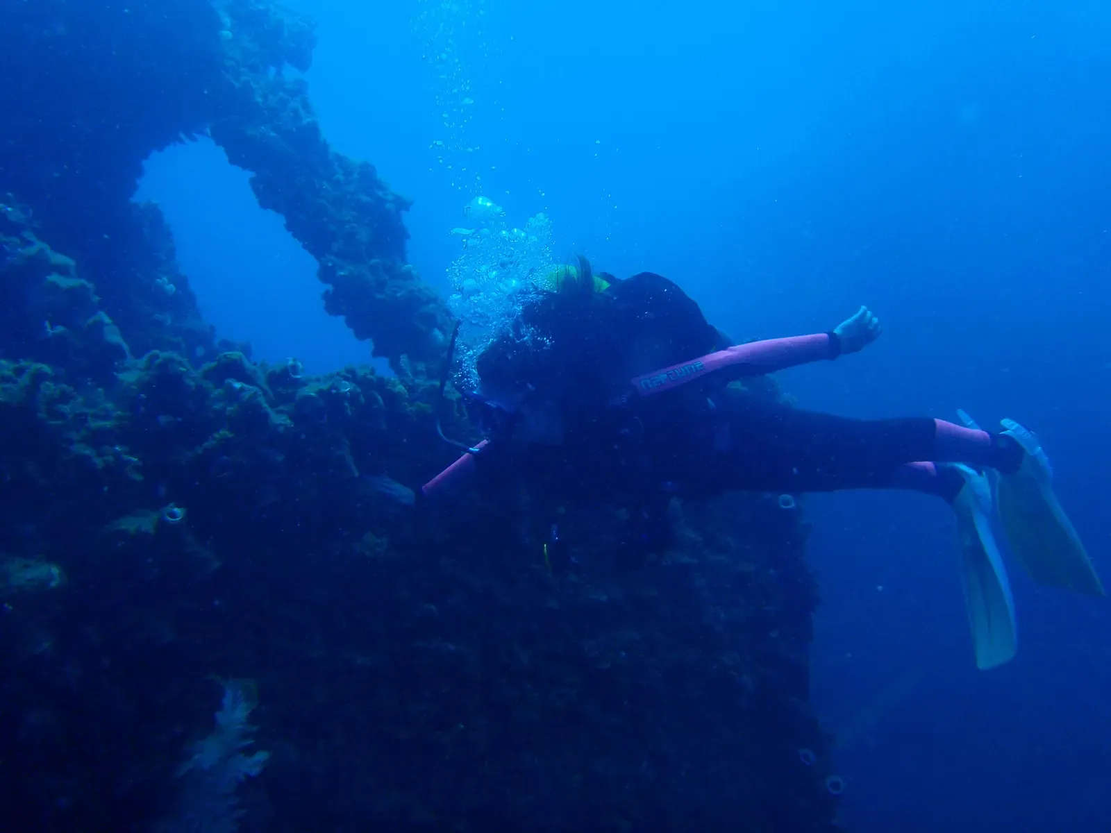 A diver hovering beside the encrusted framework of the Cheynes III wreck