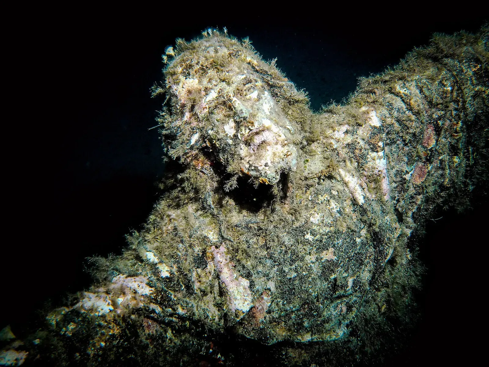 Close-up of the bronze statue's head and raised arm encrusted with marine growth — Cristo degli Abissi, Portofino