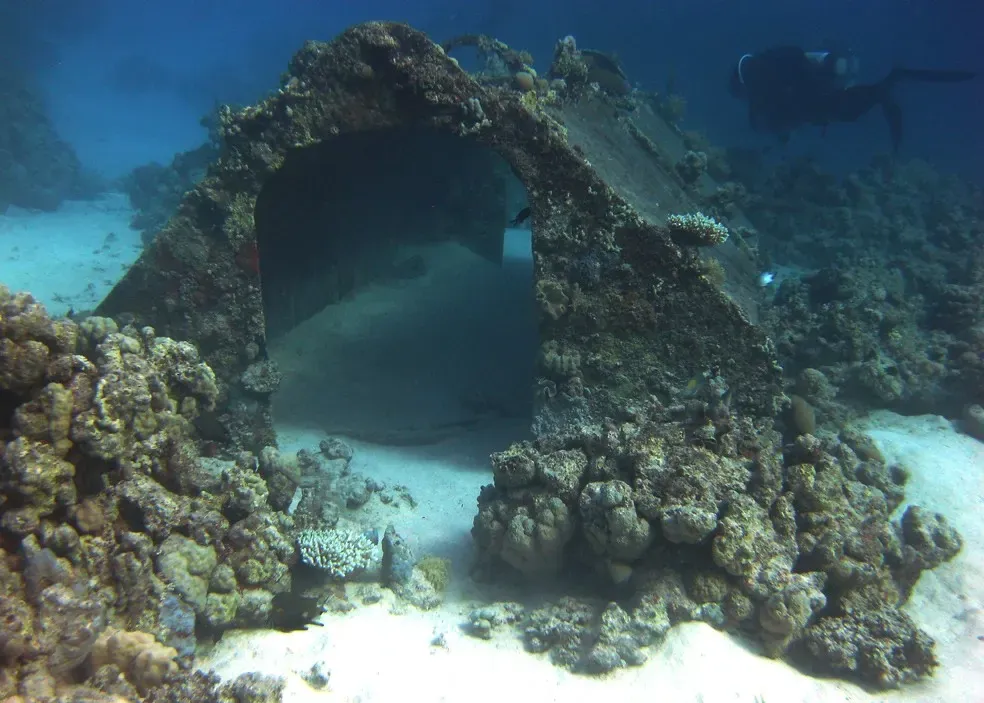 Arched Conshelf II shed structure encrusted with coral on the reef floor — Shaab Rumi, Sudanese Red Sea