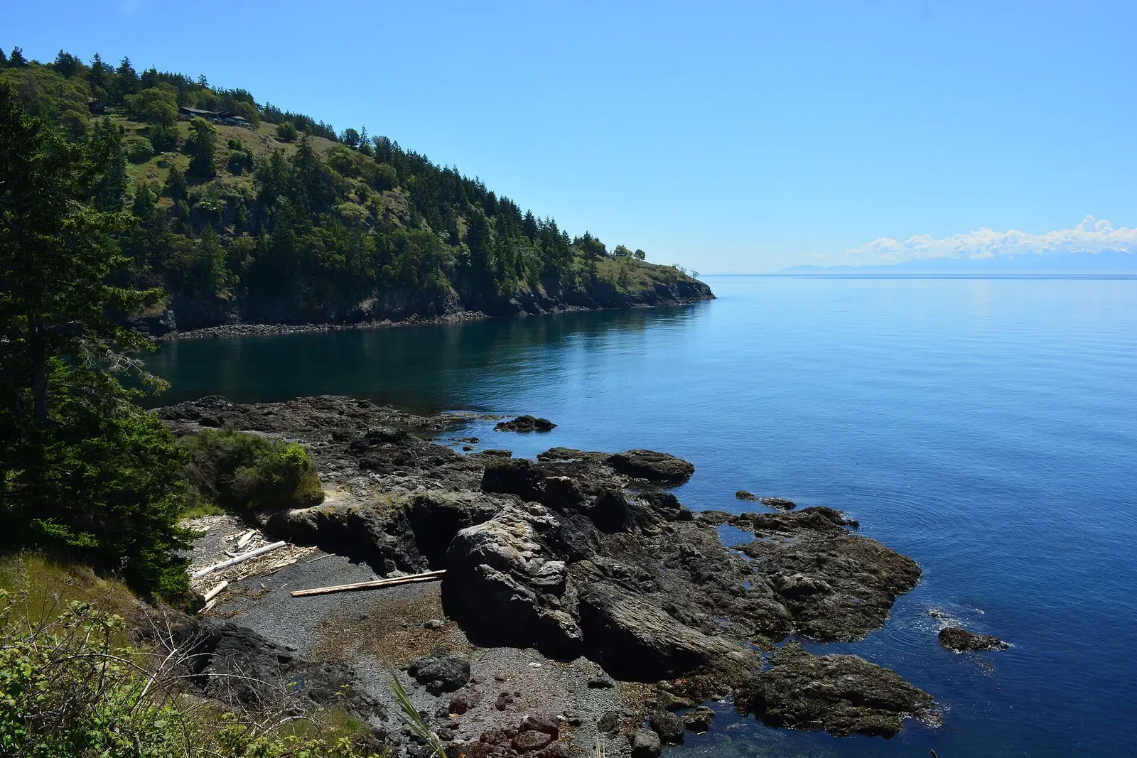 Dark rocky shore and calm blue water of a bay backed by a forested headland under clear sky — Lime Kiln Point, San Juan Islands