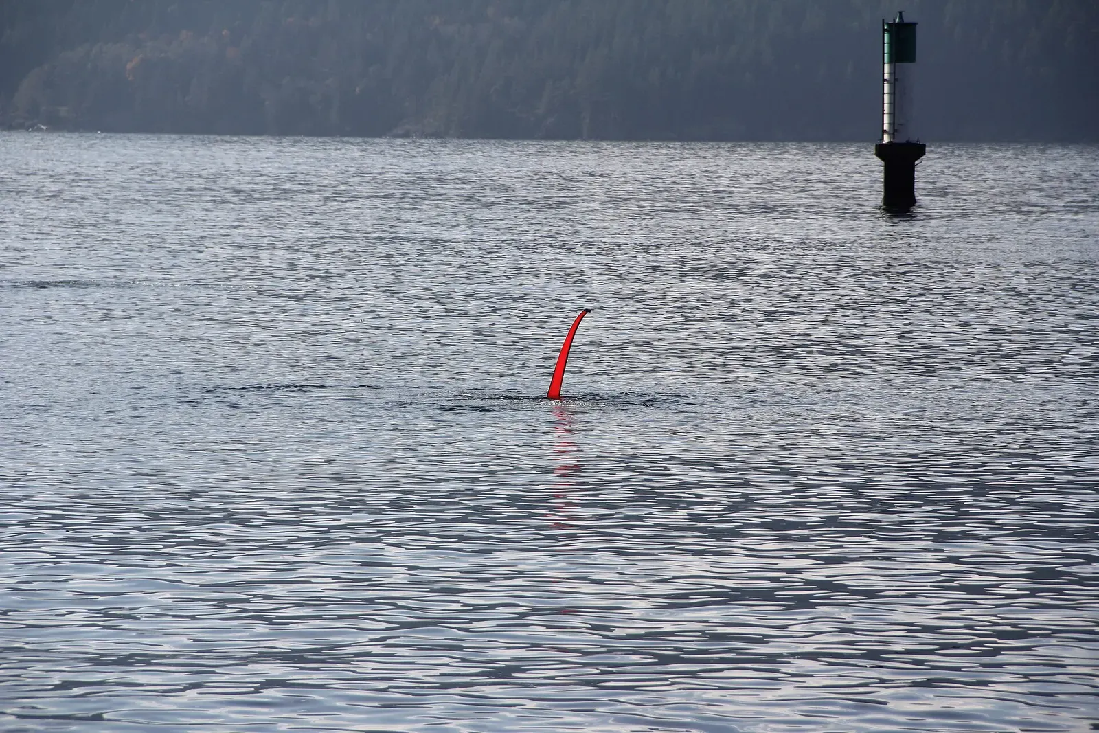 A red surface marker buoy sticks up from calm grey water near a black navigation marker — Whytecliff Park, Horseshoe Bay & Howe Sound