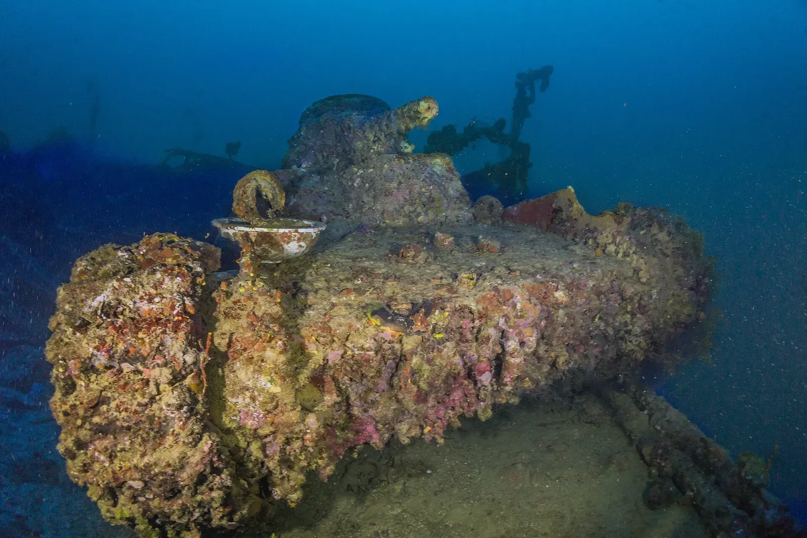 Close-up of a coral-covered Type 95 tank on the San Francisco Maru — Chuuk Lagoon