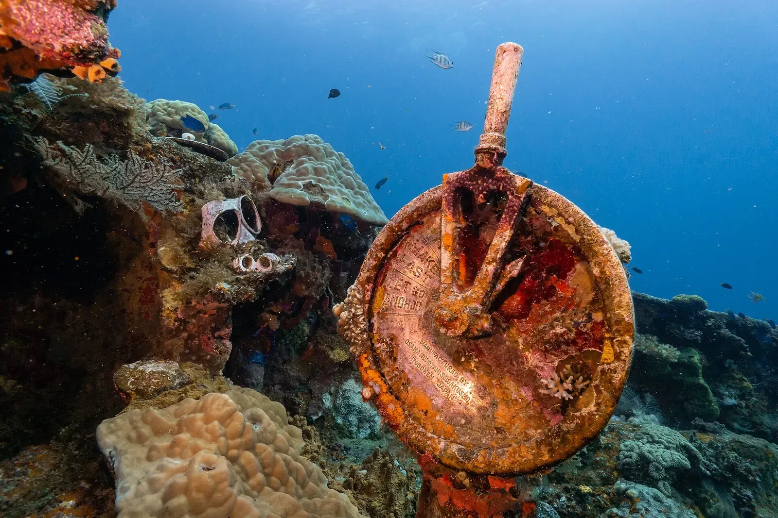Coral-encrusted engine telegraph on the Fujikawa Maru wreck — Chuuk Lagoon