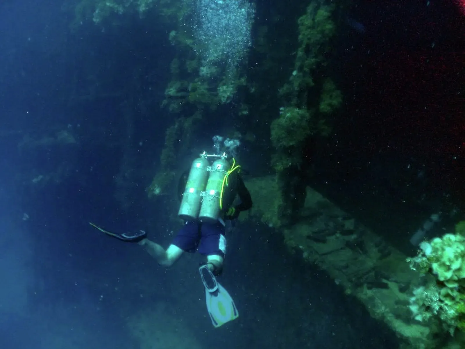 A diver with twin tanks enters the dark hold of a wreck, with green growth on the walls — Rio de Janeiro Maru, Chuuk Lagoon.