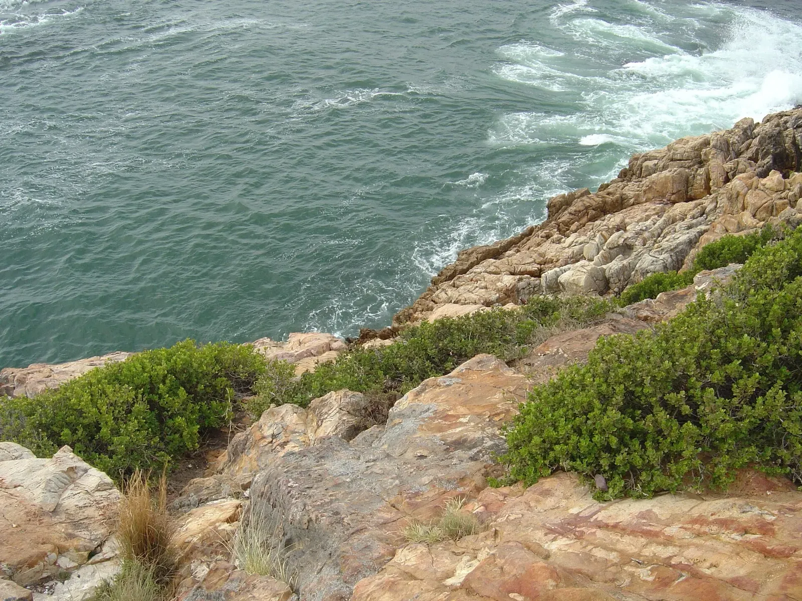 Looking down a rocky cliff edge with shrubs to green churning water at the shore entry point — Cow and Calf, Gordon's Bay & Rooi-Els