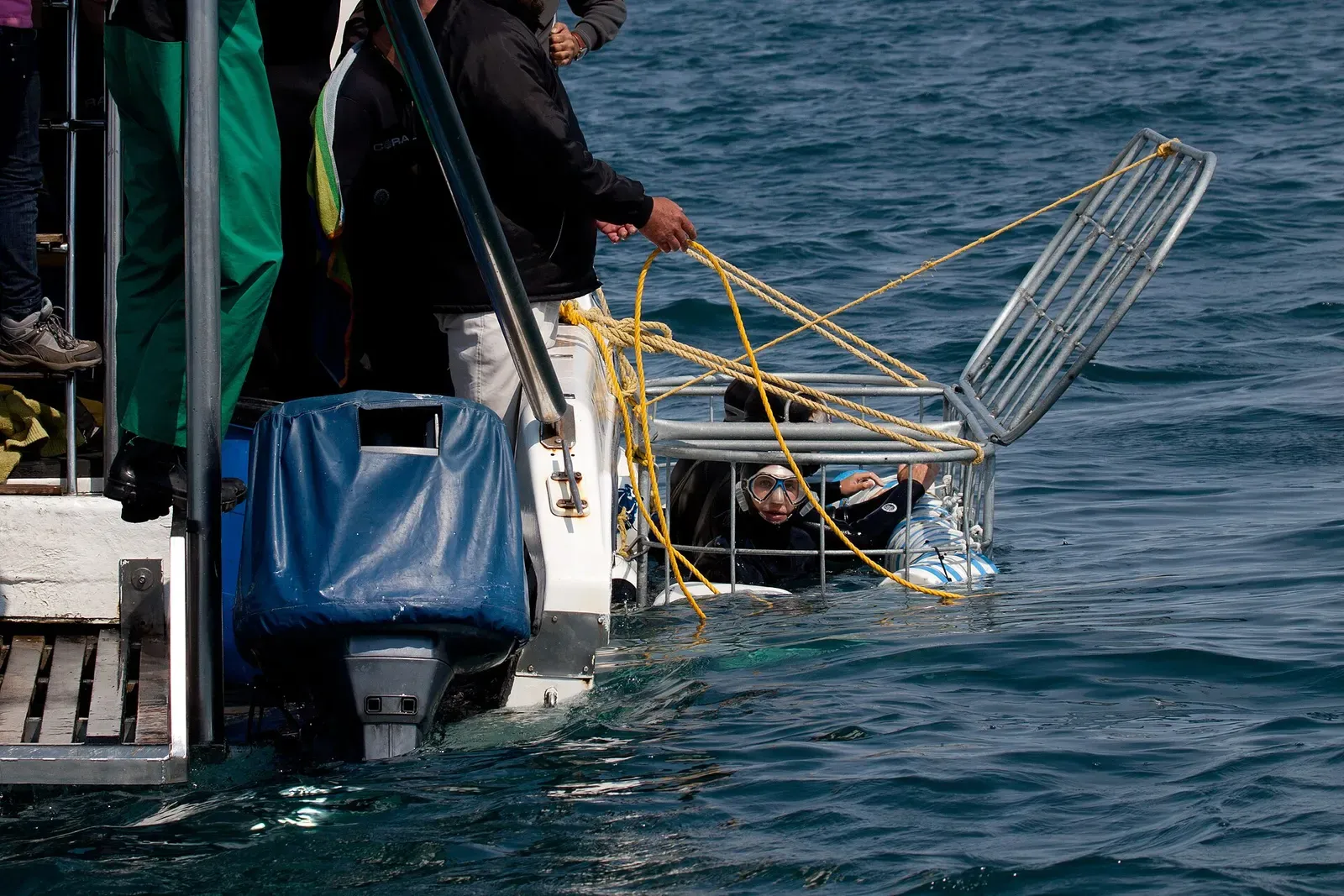 A diver crouches inside a steel shark cage lowered off the stern of a boat at Gansbaai