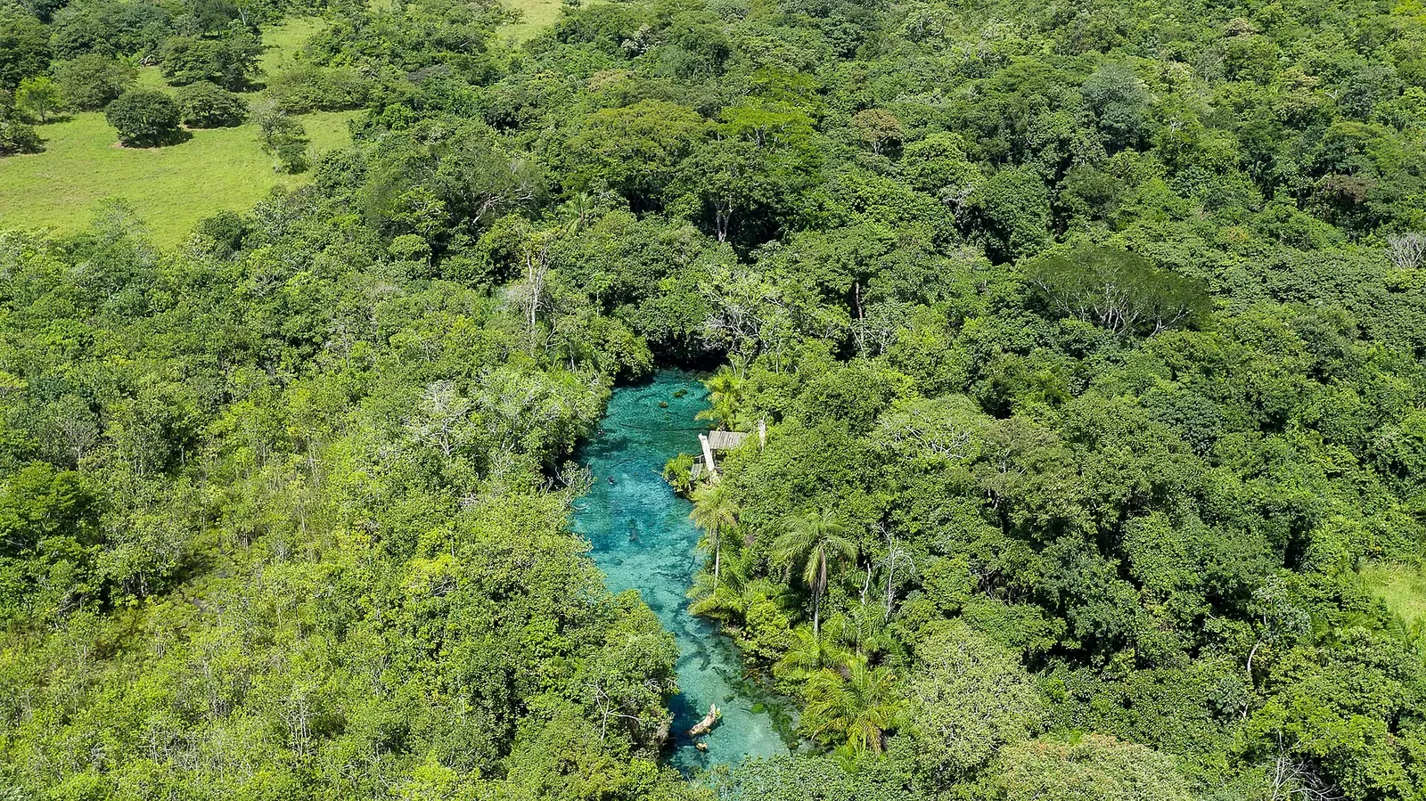 Aerial view of the turquoise Nascente Azul channel winding through dense forest canopy — Bonito