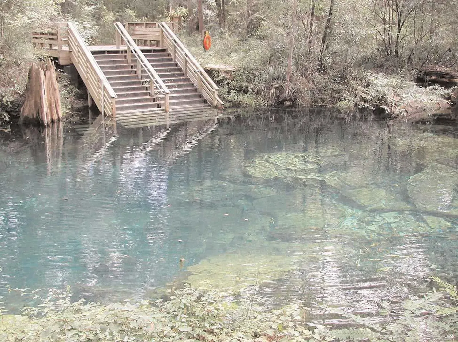 Wooden stairs descending into the clear turquoise water at Peacock Springs' main spring basin — North Florida Springs