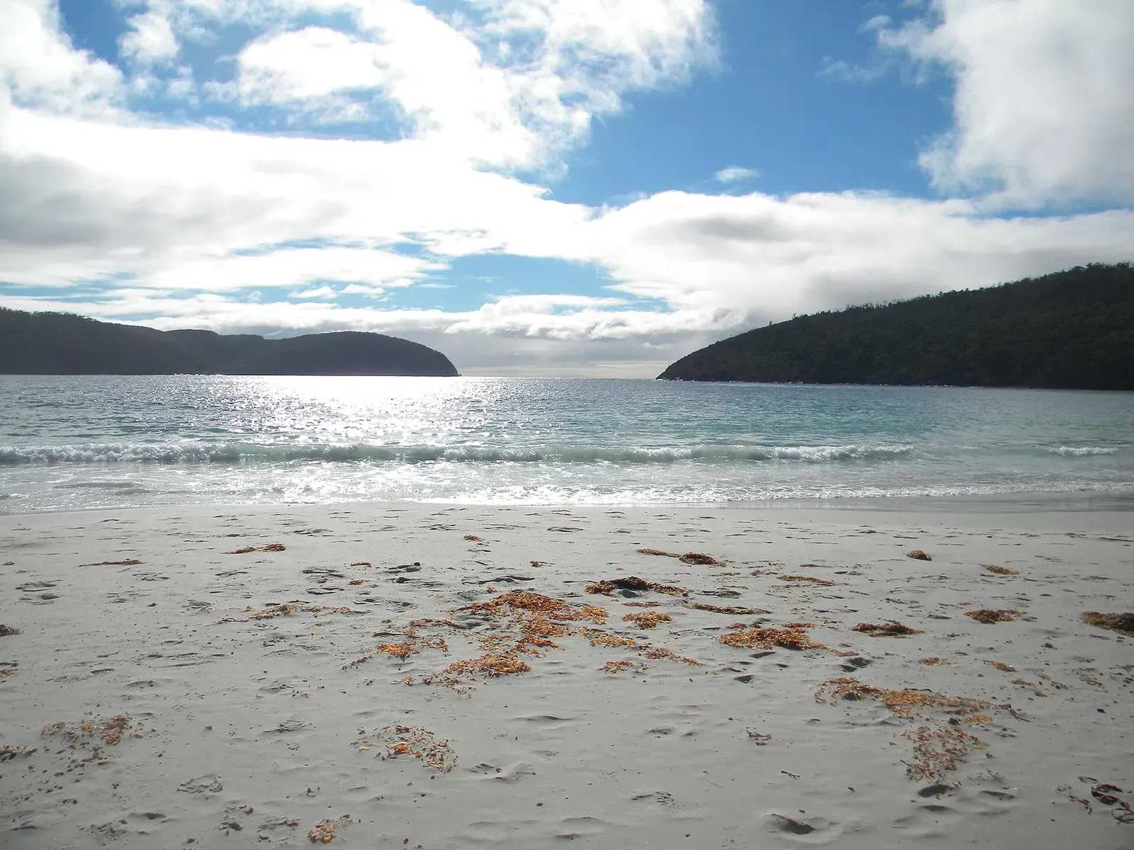 Fortescue Bay beach with kelp wrack on the sand and wooded headlands under a bright sky — Eaglehawk Neck