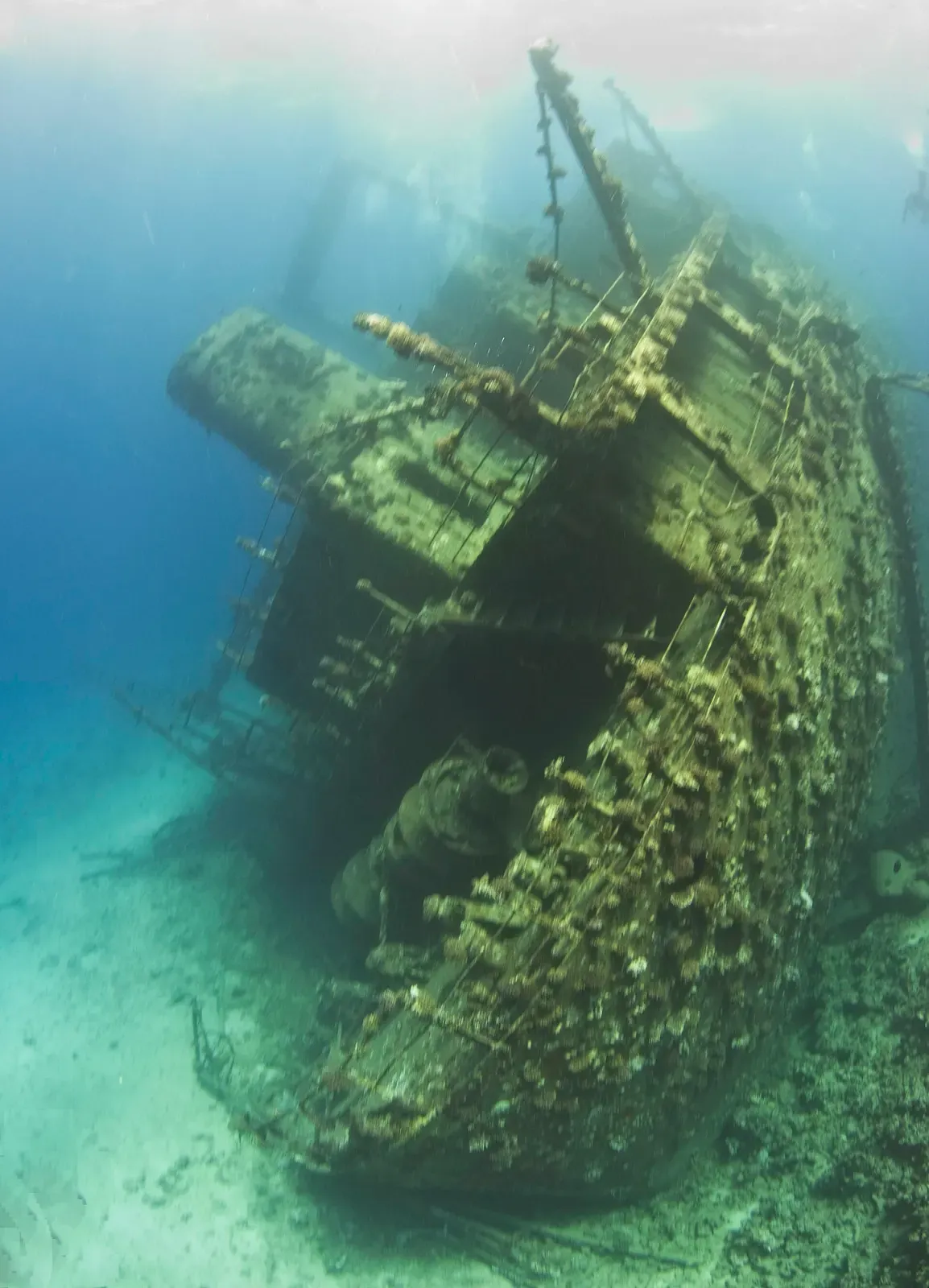 The tilted bow of the Giannis D rising from the sand, coral-encrusted — Hurghada & El Gouna