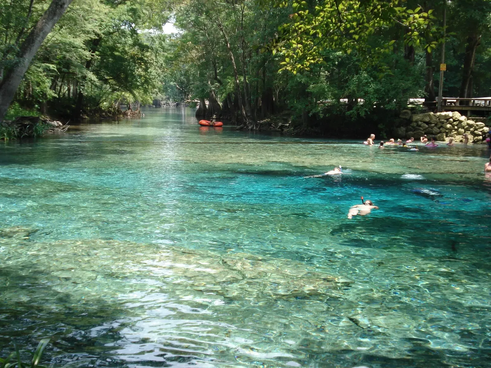 Snorkelers floating in the clear turquoise water of Ginnie Springs with a wooden dock behind them — North Florida Springs