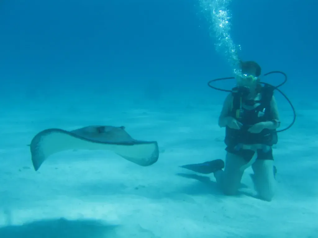 Diver kneeling on white sand as two stingrays glide past in shallow, clear water — Stingray City, Grand Cayman