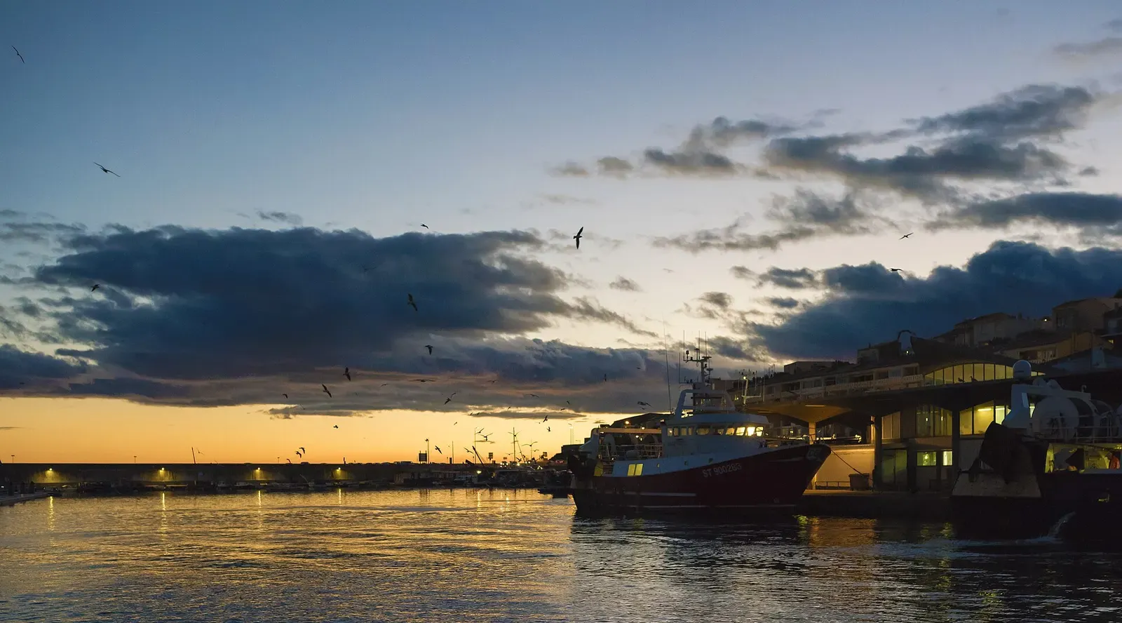 Gulls flying over a trawler entering Sète harbour at sunset