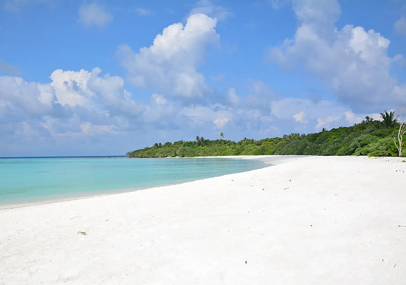 A narrow white sand spit curves into the turquoise lagoon off Hanimaadhoo island, Haa Dhaalu Atoll.