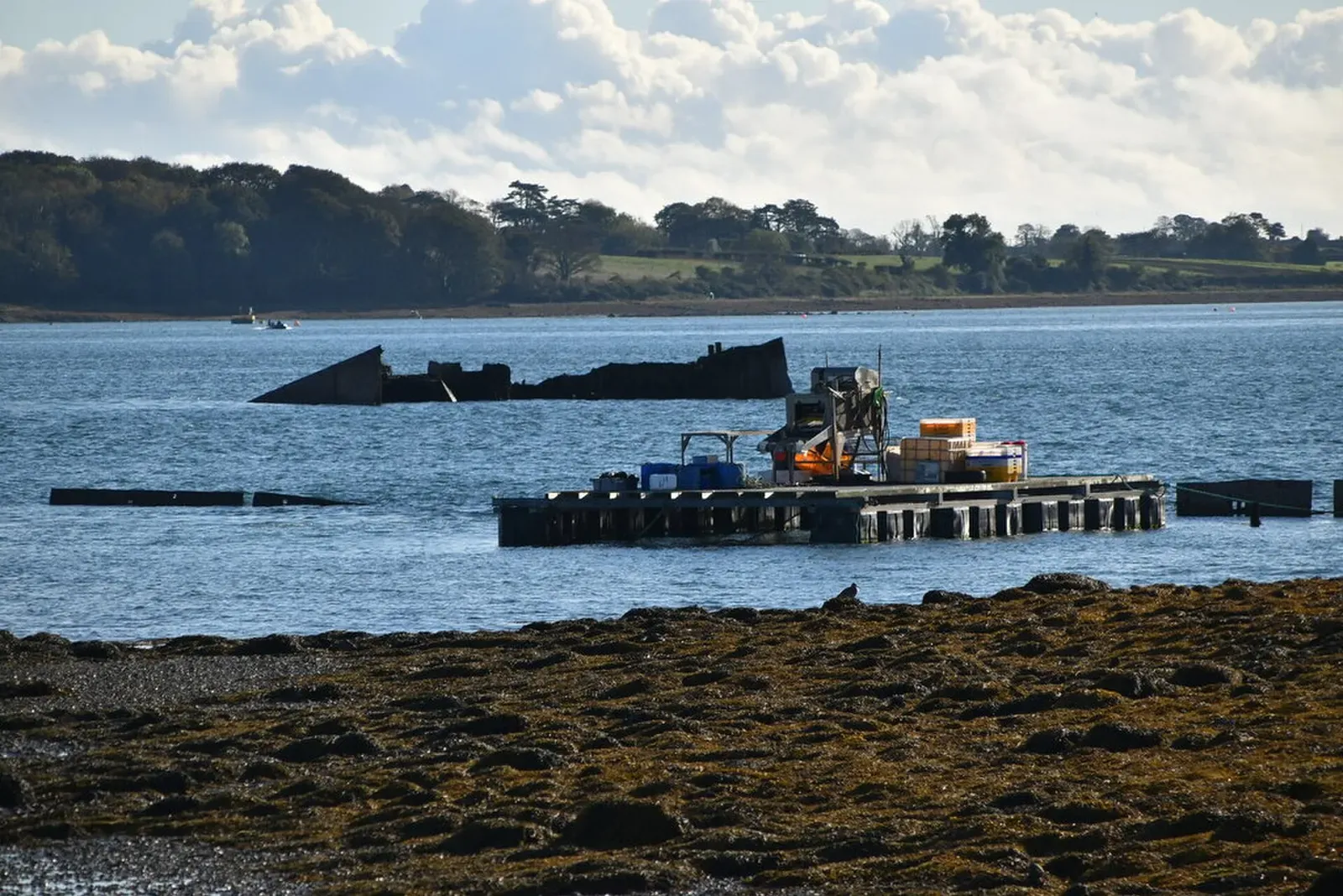 A rusted wreck section sits low in calm blue water beside a floating pontoon, with wooded shore behind — Strangford Lough