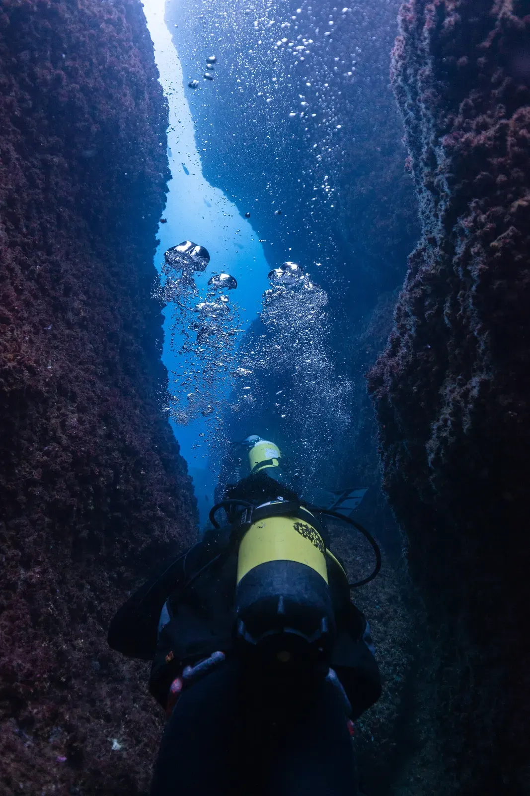 A diver with a yellow tank descends a narrow channel between two rock walls covered in red algae, with bubbles rising toward the light — La Corbera, Santander & Isla de Mouro