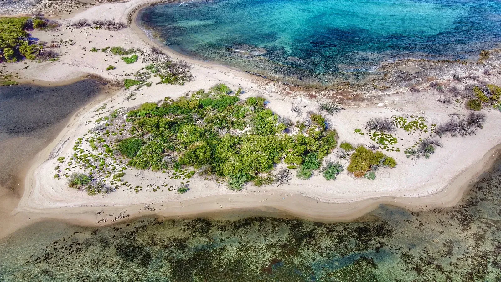 Aerial view of a low sandy islet with green scrub, rocky shallows and clear blue-green water around it — Porto Cesareo & the Nardò Coast