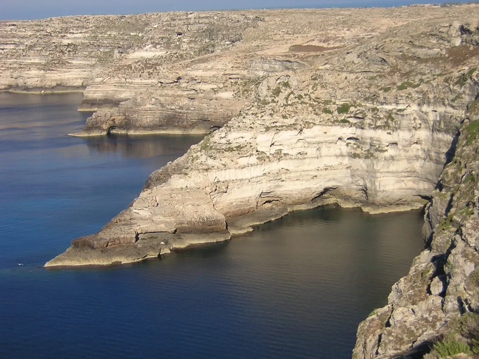 Layered pale limestone cliffs dropping straight into calm dark sea along a rugged coastline — Lampedusa & Linosa