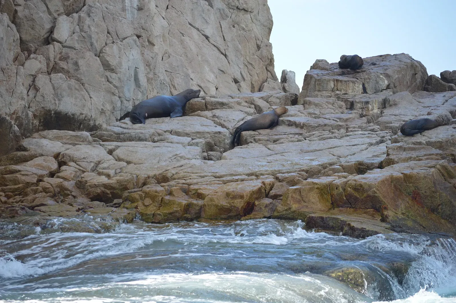 Two sea lions lying on pale granite rocks just above the waterline — Land's End, Los Cabos