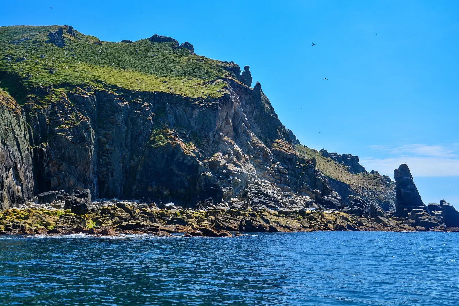Grass-topped granite headland with vertical cliffs and a boulder shore meeting blue water, seabirds overhead — Lundy Island