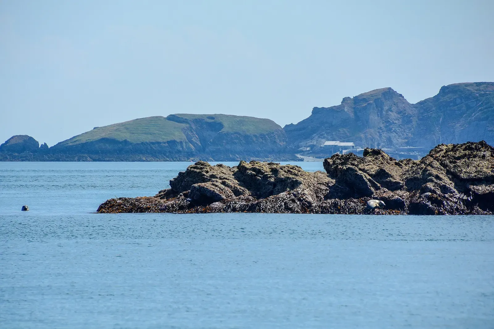 Distant view of the Knoll Pins rock pinnacles off Lundy's east coast — Lundy Island