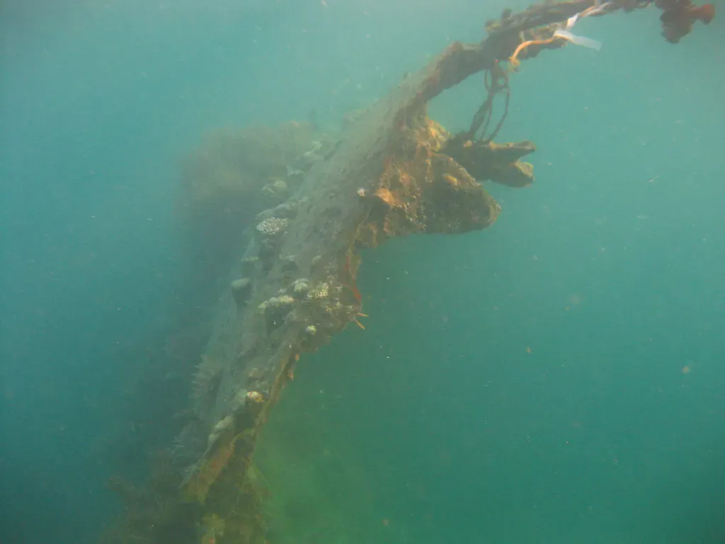 Growth-covered wreck structure of the Lusong Gunboat seen from a slightly different angle in shallow water — Coron