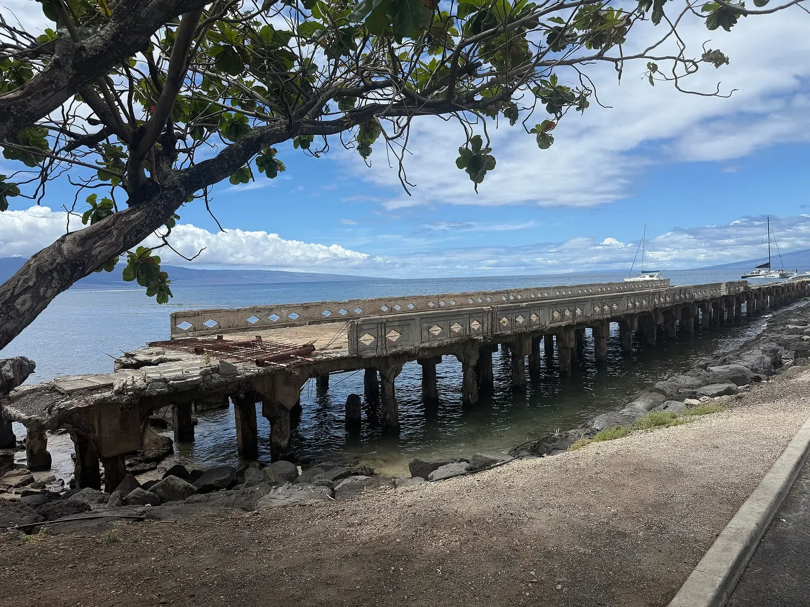 Weathered concrete wharf on pilings stretching out over the water, framed by a shoreline tree — Mala Wharf, Maui